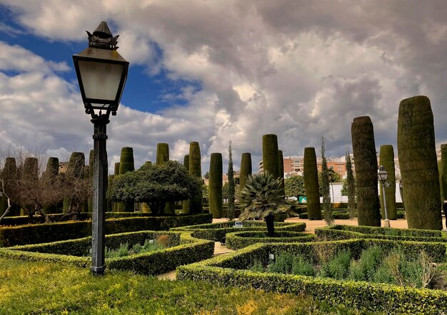 Uma lâmpada de rua em um parque com árvores ao fundo