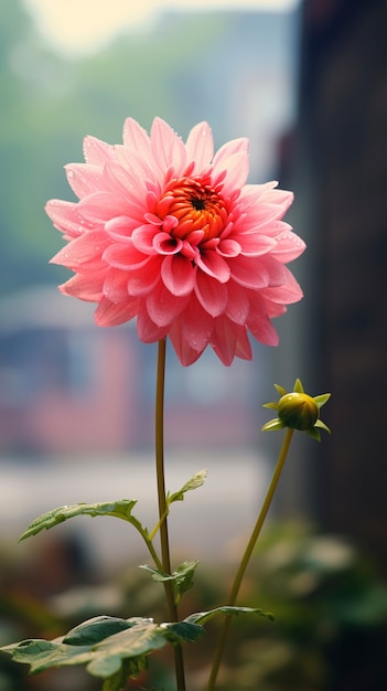 Uma linda flor na natureza