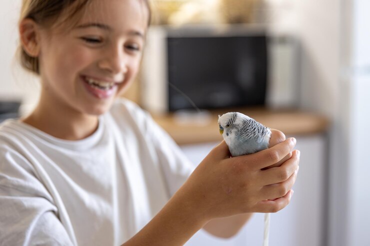 Foto grátis uma linda menina está brincando com um papagaio branco e azul conceito de animais de estimação