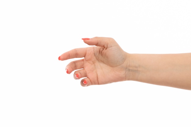 Uma mão feminina vista frontal com unhas coloridas com a mão erguida em branco