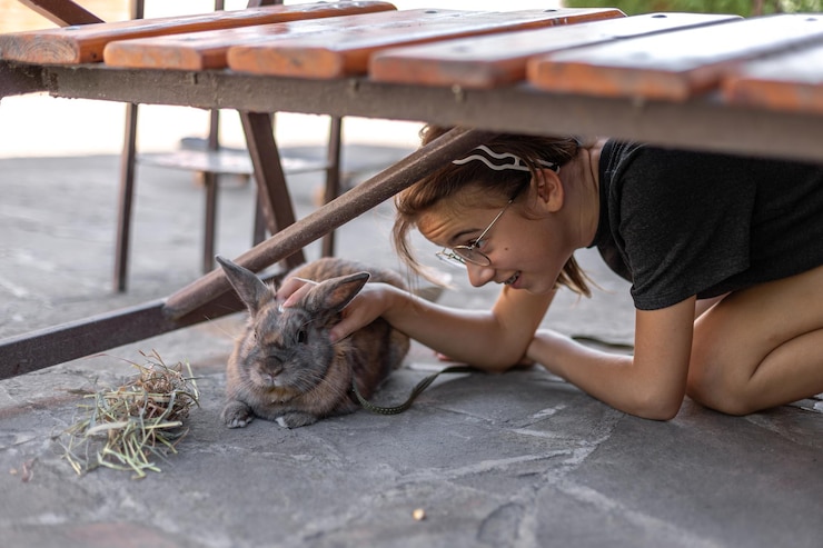 Foto grátis uma menina brinca com um coelho doméstico na rua conceito de animal de estimação