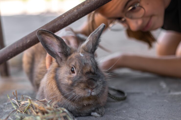 Foto grátis uma menina brinca com um coelho doméstico na rua conceito de animal de estimação