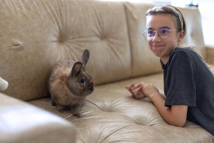 Foto grátis uma menina está alimentando um coelho de estimação no conceito de animal de estimação do sofá