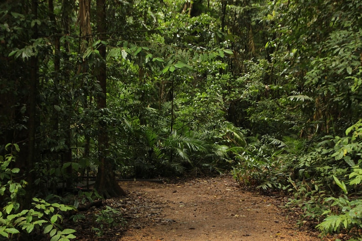 Foto grátis uma paisagem linda.