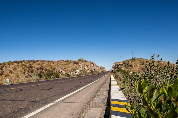 Uma rodovia deserta cercada por colinas com plantas exóticas