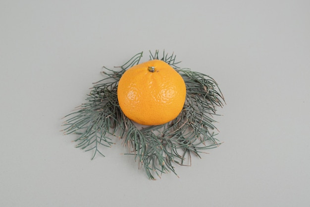 Uma tangerina fresca inteira sobre um fundo cinza.