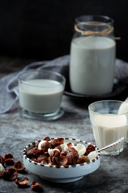 Foto grátis uma tigela de cereal com sabor de chocolate misturado com leite no café da manhã.