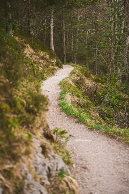 Uma trilha de caminhada nos Alpes da Baviera durante a primavera