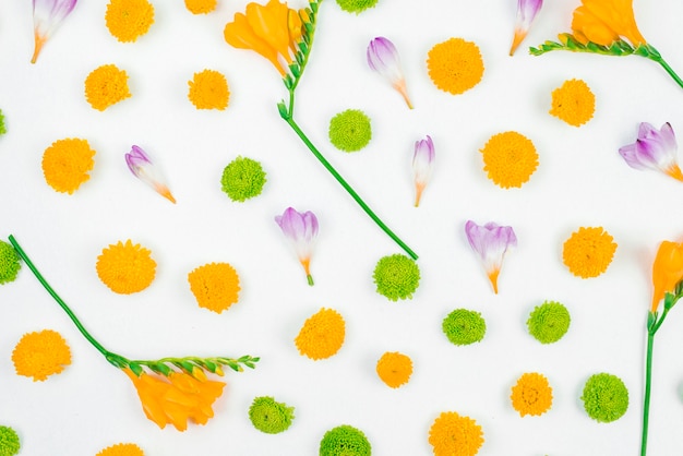 Foto grátis uma visão aérea do padrão de flores sobre fundo branco