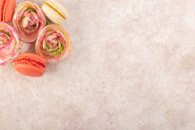 Uma vista de cima, macarons franceses coloridos com rosas murchas na mesa rosa, biscoito doce com açúcar