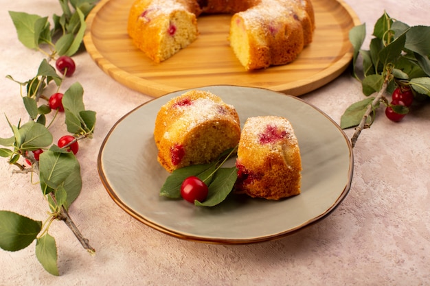 Uma vista frontal assou fatias deliciosas de bolo de frutas com cerejas vermelhas e açúcar em pó dentro de uma placa cinza redonda rosa