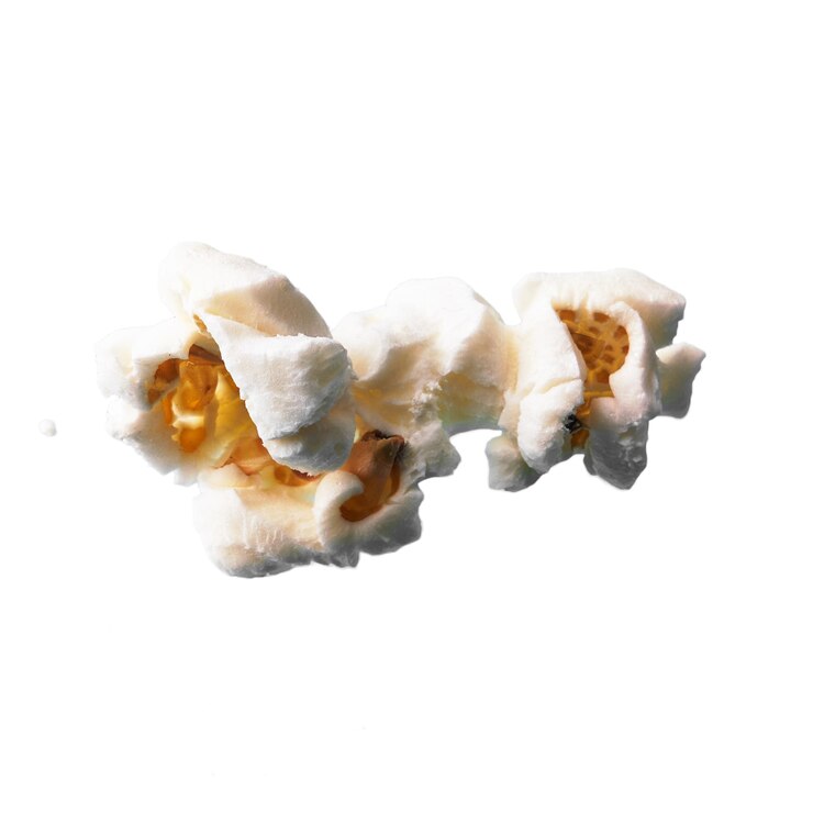Foto grátis única pipoca salgada deliciosa isolada em um fundo branco