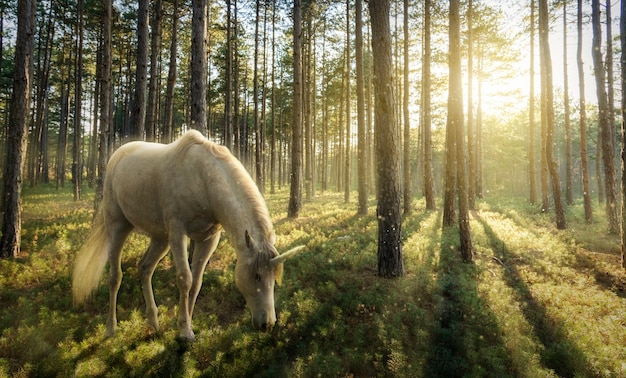 Unicórnio branco ao ar livre na floresta