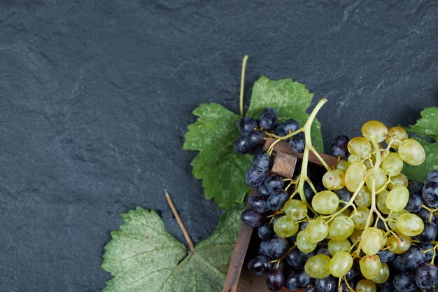 Uvas brancas e pretas com folhas em fundo escuro. Foto de alta qualidade