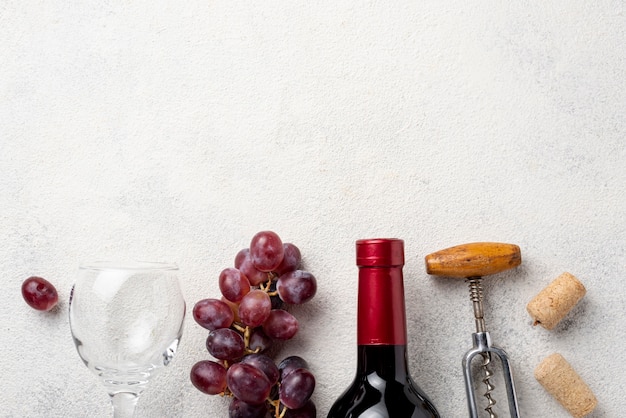 Uvas organinc vista superior para vinho