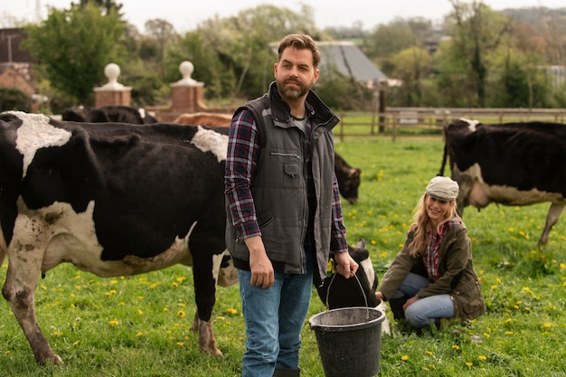 Foto grátis vacas pastando ao redor da fazenda