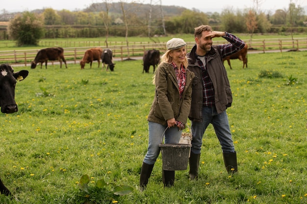 Foto grátis vacas pastando ao redor da fazenda