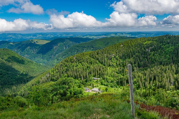 Vale panorâmico com muitas árvores sob um céu azul nublado