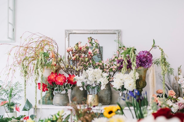 Várias flores e plantas na prateleira