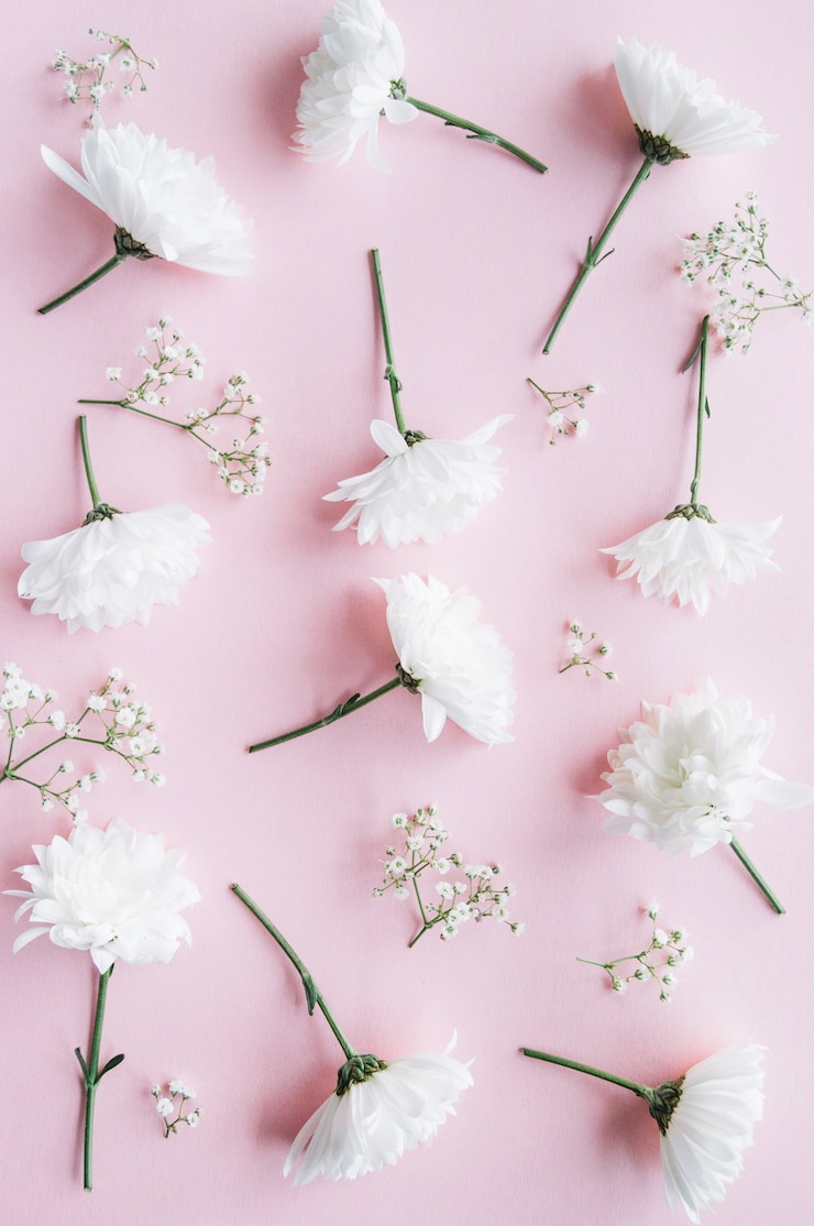 Foto grátis variável delicada de flores brancas sobre uma superfície rosa clara vista vertical