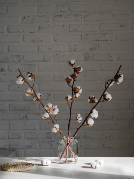 Foto grátis variedade com flores de algodão em jarra