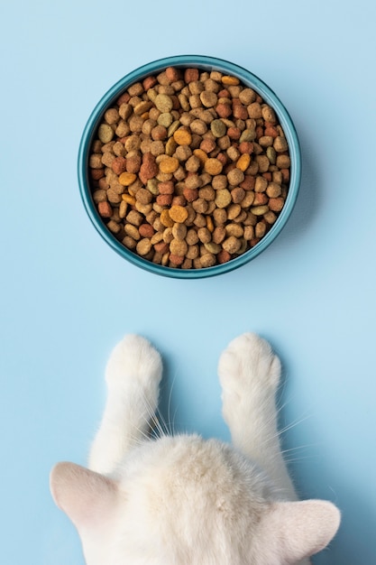 Foto grátis variedade de alimentos para animais de estimação