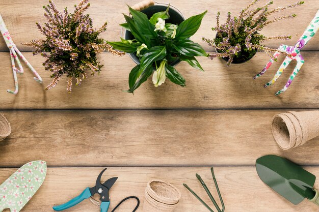 Variedade de equipamentos de jardinagem; plantas floridas; pote de turfa, organizado na mesa de madeira