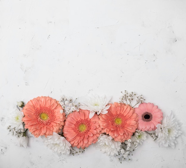 Foto grátis variedade de flores do verão e espaço de cópia gerbera