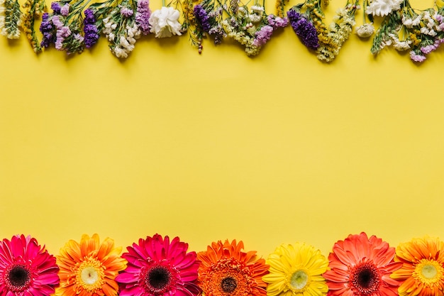 Foto grátis variedade de flores em fundo amarelo