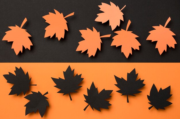 Variedade de folhas de outono de vista superior