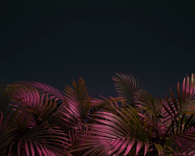 Variedade de folhas de palmeira coloridas 3D
