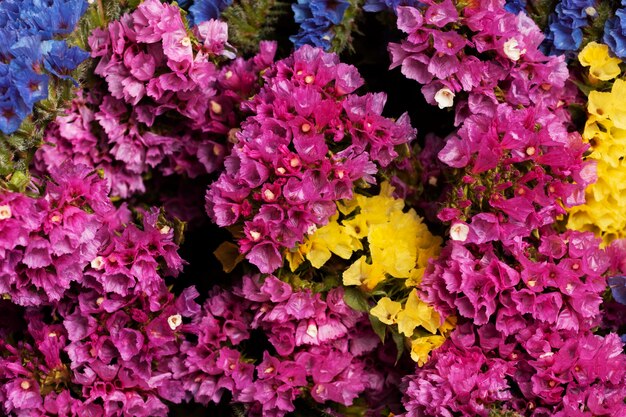 Variedade de lindas flores de fundo
