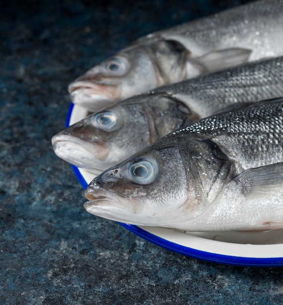 Variedade de peixe cru para cozinhar