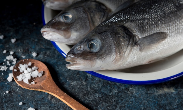 Variedade de peixe cru para cozinhar