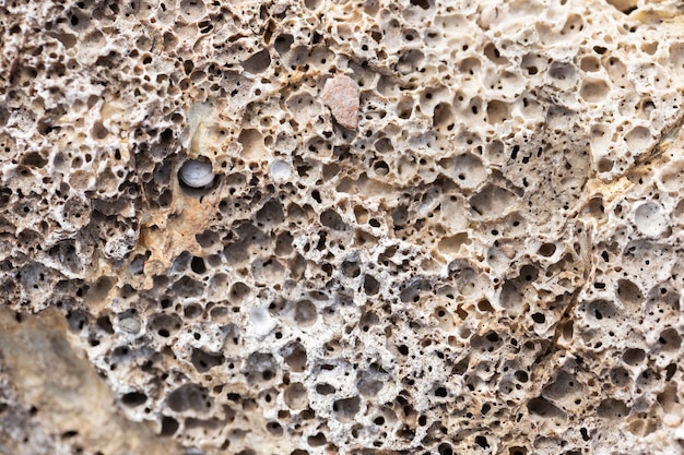 Variedade de textura de pedra áspera