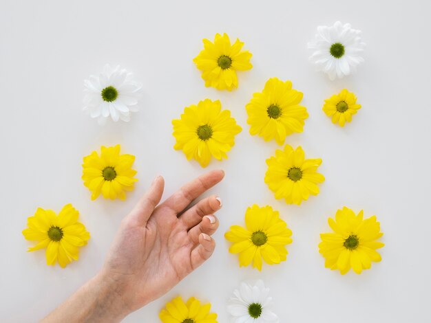 Variedade plana leiga de conceito de otimismo com flores