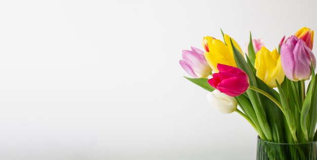 Vaso com tulipas de perto