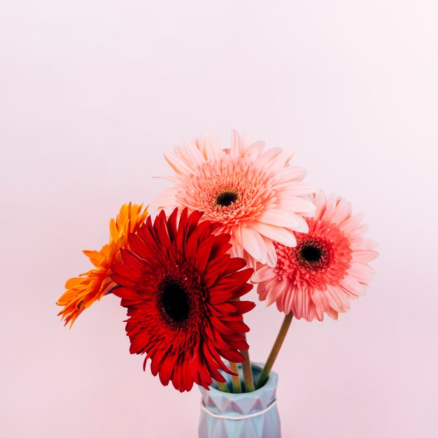 Vaso de flor colorido gerbera contra fundo rosa