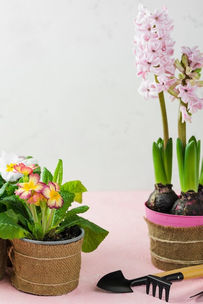 Vaso de flores e ferramentas