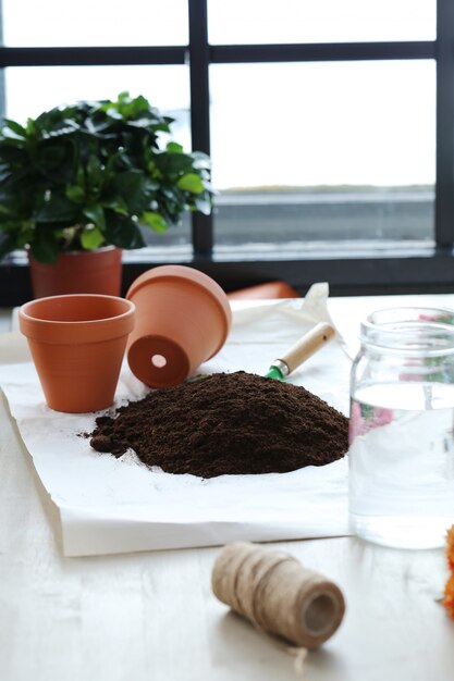 Vaso de flores e fertilizantes em casa interior, conceito de jardinagem