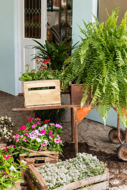 Vaso de plantas com regador