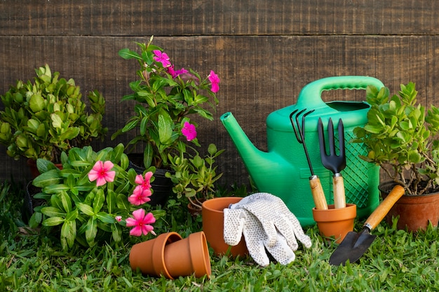 Vaso de plantas com regador