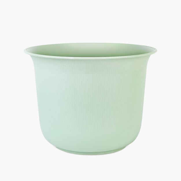 Vaso de plantas verdes para decoração de casa