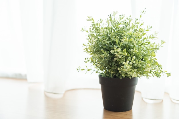 Vaso planta decoração em casa ao lado da janela