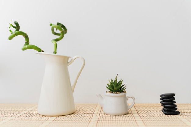 Foto grátis vasos de flores e pedras pretas