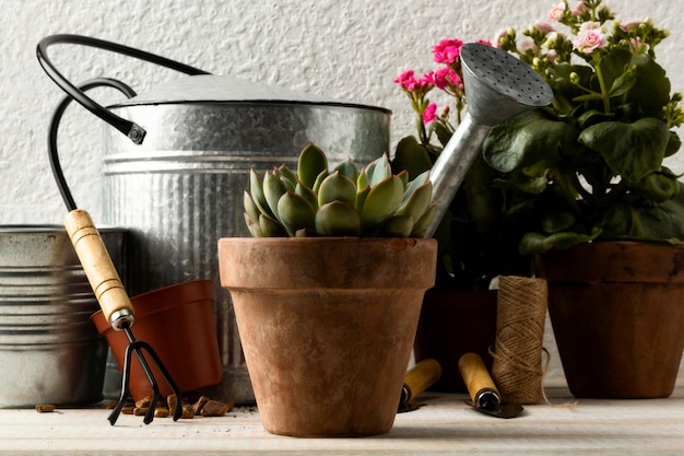 Foto grátis vasos de flores e regador