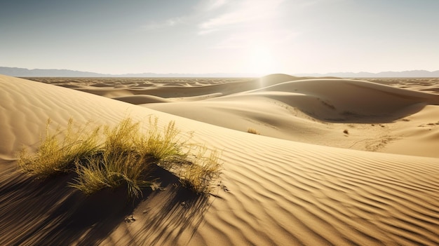 Foto grátis vastas dunas de areia que se estendem até o horizonte sob o sol escaldante