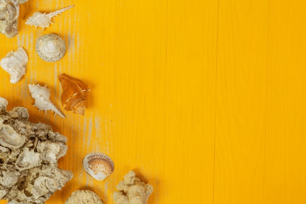 Verão com conchas, copos, frutas e papel em um amarelo