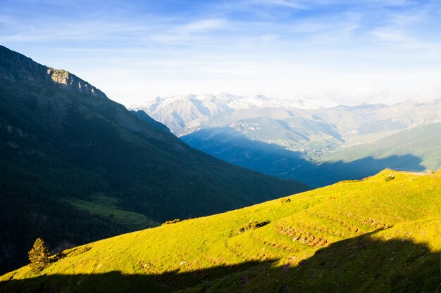 Verão, vista, montanha, prado