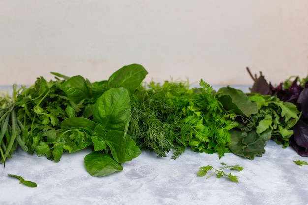 Verduras frescas manjericão, coentro, alface, manjericão roxo, coentro da montanha, endro, cebola verde em caixas plásticas em concreto cinza